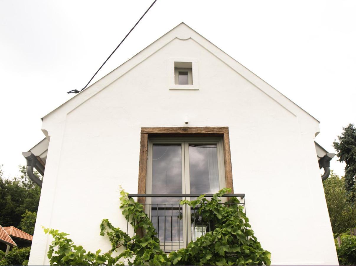 Vinonima Vendeghaz Villa Hegymagas Exterior photo