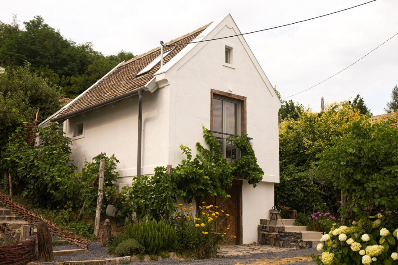 Vinonima Vendeghaz Villa Hegymagas Exterior photo